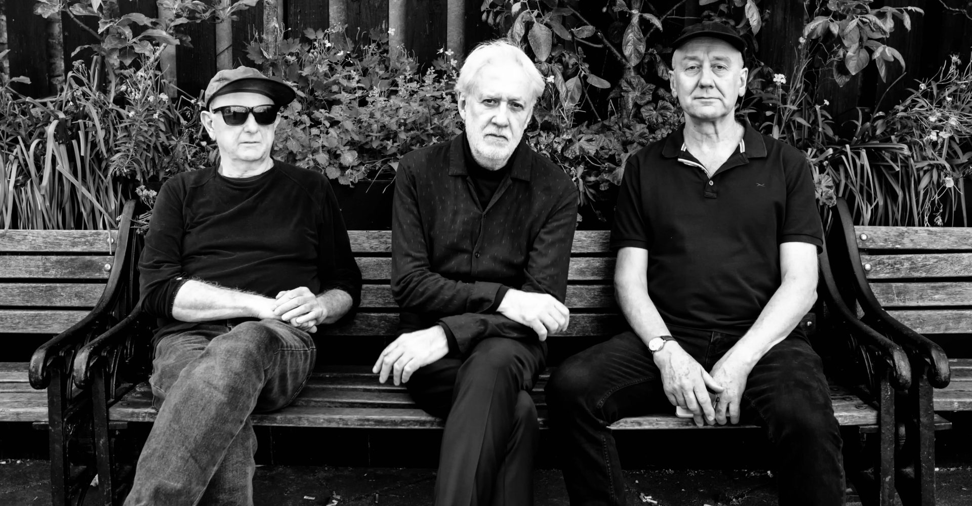 The Necks